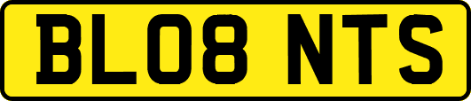BL08NTS
