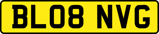 BL08NVG