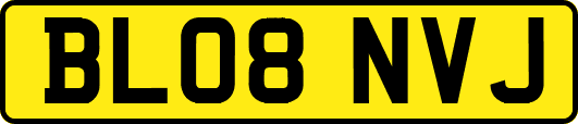 BL08NVJ