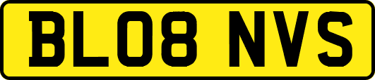 BL08NVS
