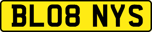 BL08NYS