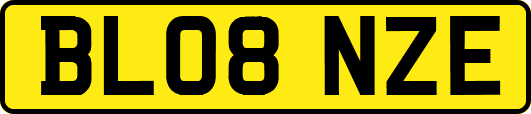 BL08NZE