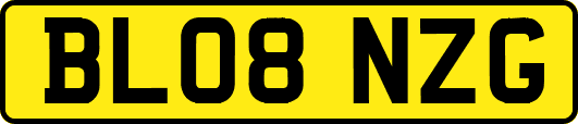 BL08NZG