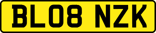 BL08NZK