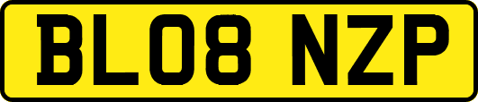 BL08NZP