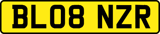 BL08NZR