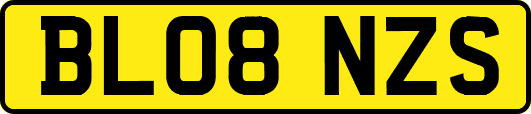 BL08NZS