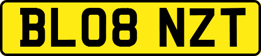 BL08NZT