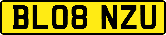 BL08NZU
