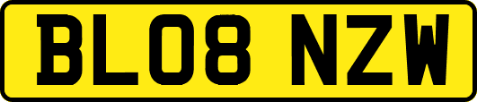 BL08NZW
