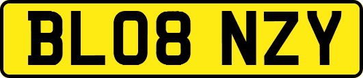 BL08NZY