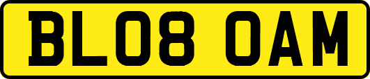 BL08OAM