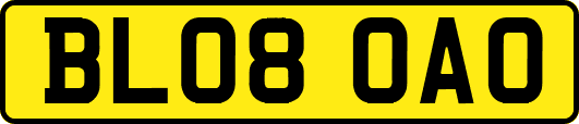 BL08OAO