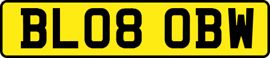 BL08OBW