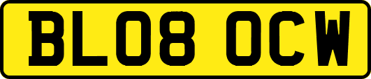 BL08OCW