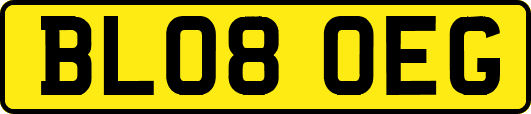 BL08OEG
