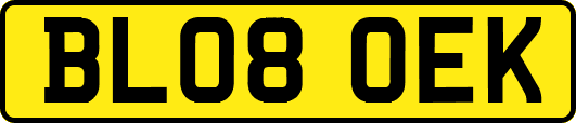 BL08OEK