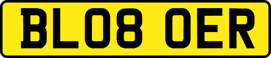 BL08OER