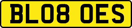 BL08OES