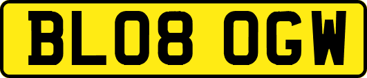 BL08OGW