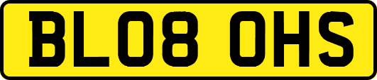 BL08OHS