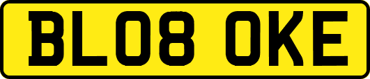 BL08OKE
