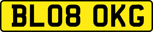 BL08OKG