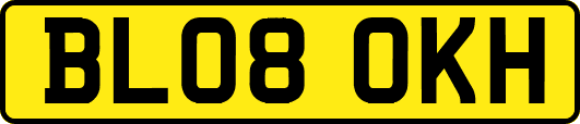BL08OKH