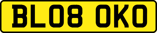 BL08OKO