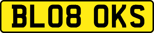 BL08OKS