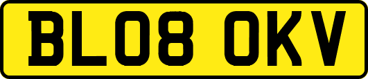 BL08OKV