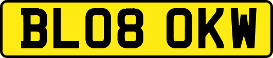 BL08OKW