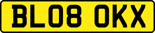 BL08OKX
