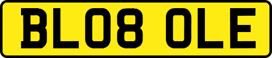 BL08OLE