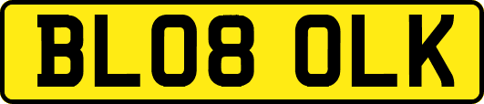 BL08OLK