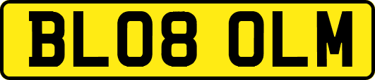 BL08OLM