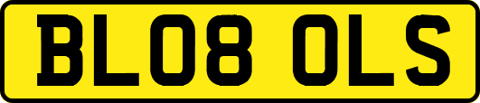 BL08OLS
