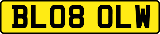 BL08OLW