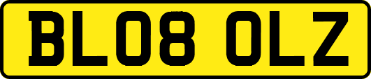 BL08OLZ