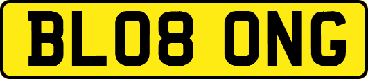 BL08ONG