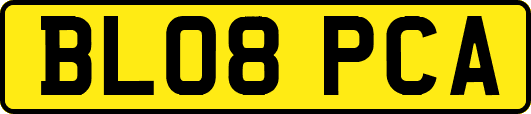 BL08PCA
