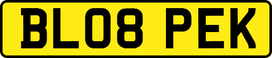 BL08PEK