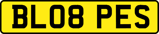 BL08PES