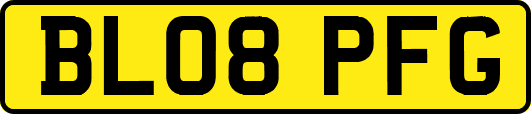 BL08PFG