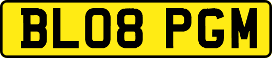 BL08PGM