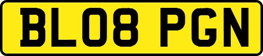 BL08PGN