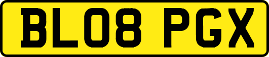 BL08PGX