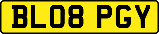 BL08PGY