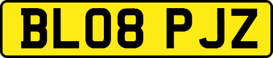 BL08PJZ