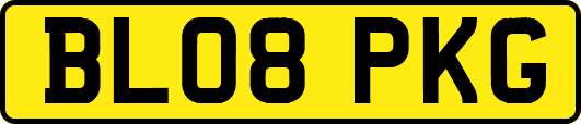 BL08PKG